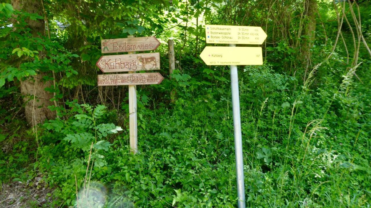 Romantische Ferienhuette Nationalpark Kalkalpen, Sonnig, 2 Schlafzimmer, Wlan Kleinreifling Екстер'єр фото
