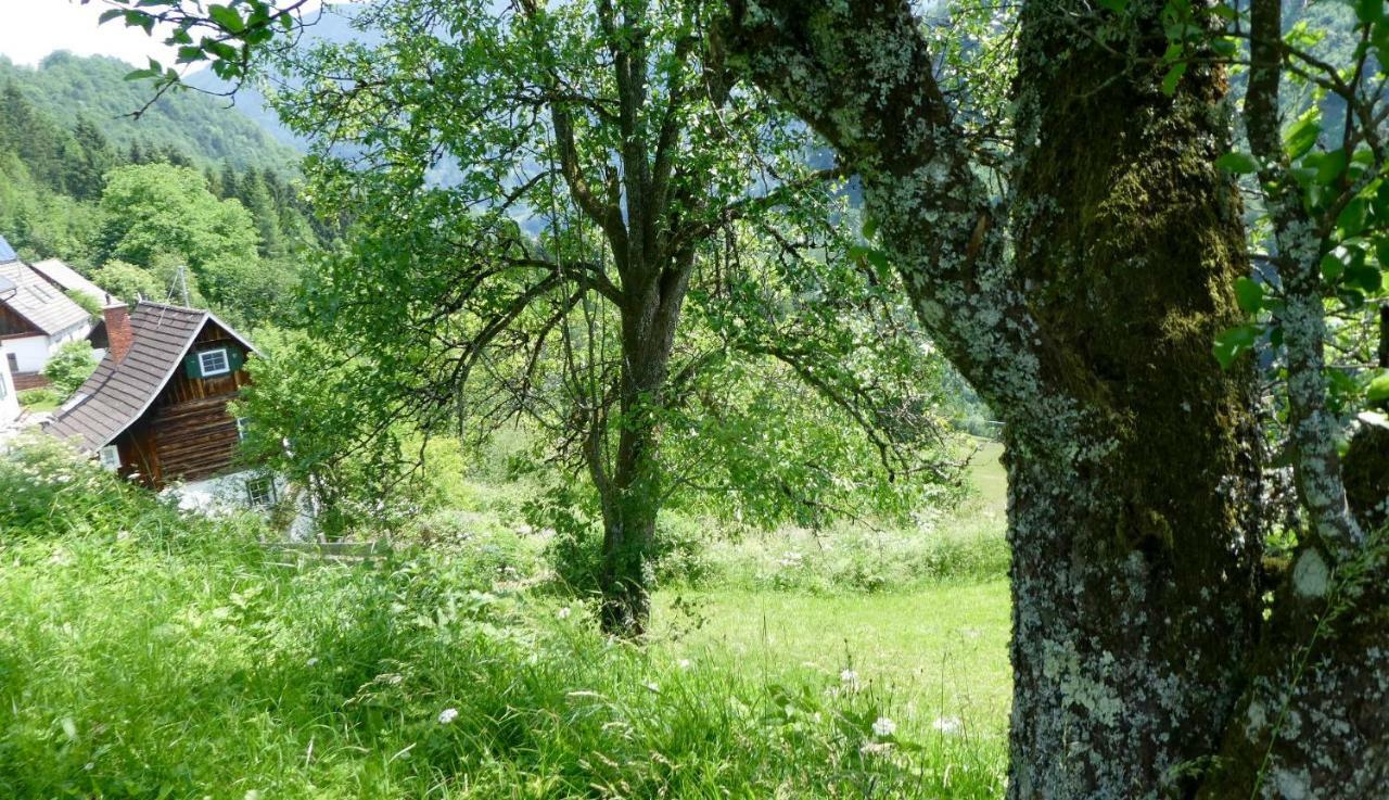 Romantische Ferienhuette Nationalpark Kalkalpen, Sonnig, 2 Schlafzimmer, Wlan Kleinreifling Екстер'єр фото
